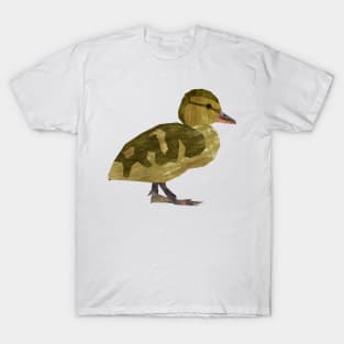 Duckling (Mallard) T-Shirt